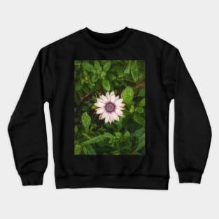 autumn aster Crewneck Sweatshirt